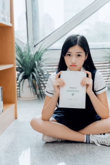 花翎飞盗